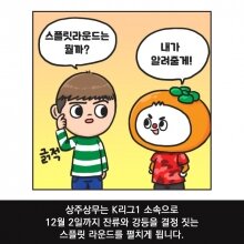 스플릿라운드 설명서